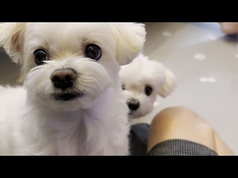 엉뚱한 딸과 착한 엄마의 귀여운 일상