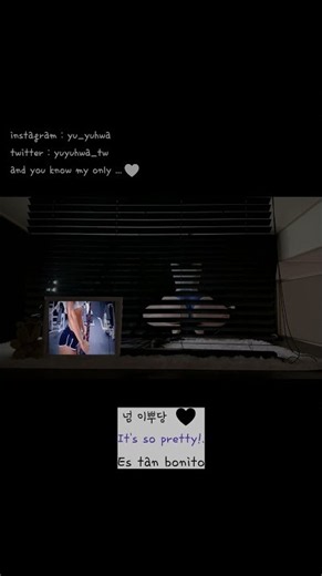 근본 파랑 돌핀팬츠 🩵💦