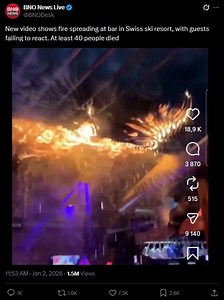 Zero survival instincts.😪 | Military Style Assault Smirk