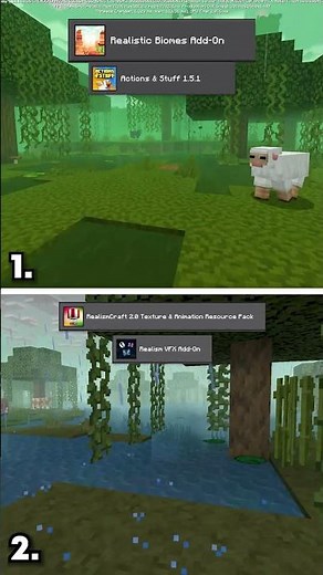 Minecraft: RealismCraft 2.0 VFX vs. Actions & Stuff 1.5.1