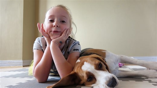 Playful beagles spark endless laughter while playing with child