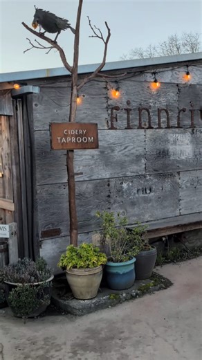 We loved celebrating our employees during our annual Appreciation Party at Finnriver Farm & Cidery—with amazing pizza from Dented Buoy and a fantastic selection of Finnriver ciders and beverages to toast the night. Thank you to our guests for your understanding while the Fireside was closed so we could take time to celebrate the people who make it all happen. 💛 #finnriver #portludlowresort #employeeappreciation | The Resort at Port Ludlow