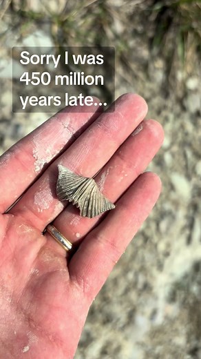 Exploring Ancient Sea Floors from the Ordovician Period