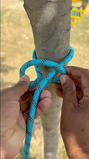Amazing Slip knot Around The Tree !