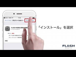 FLASHモバイルAPN設定 (iOS)