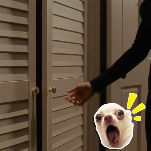 The most terrifying scene in cinema! 🫣 💨 #foryou #viral #movie