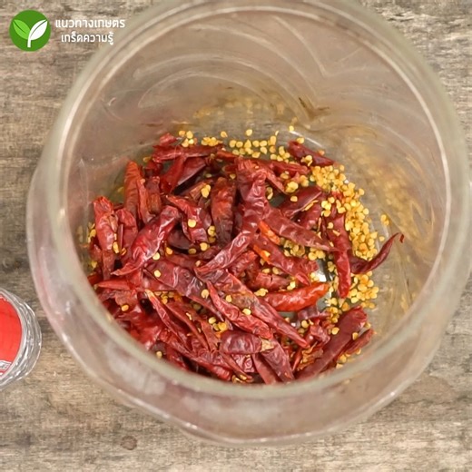 130K views · 2.1K reactions | สูตรน้ำหมักจากพริกกำจัดหนอนแมลง ปลอดภัยได้ผลดี #ไล่แมลง #กำจัดแมลง #อนิติ | แนวทางเกษตร เกร็ดความรู้ | Facebook