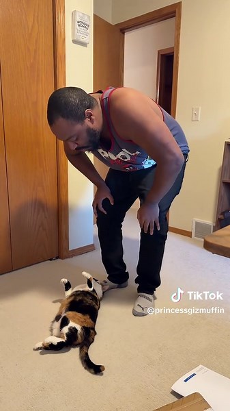 Funny Morning Cat Convos with Cat Dad