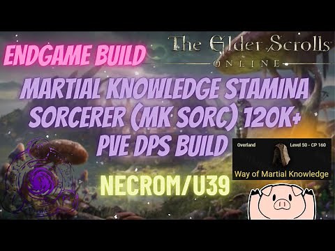 ESO Endgame Martial Knowledge Stamina Sorcerer (MkSorc) 120k+ PVE DPS Necrom U39
