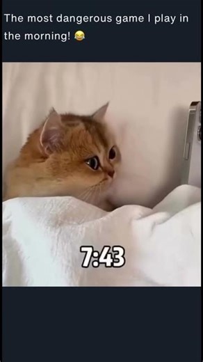 Most Hilarious Morning Routines (Try Not To Laugh)