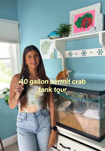 Exploring a 40 Gallon Hermit Crab Tank Tour