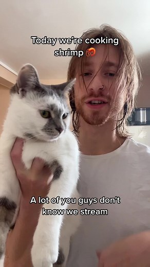 Cooking Shrimp for Your Cat 🦐🐱