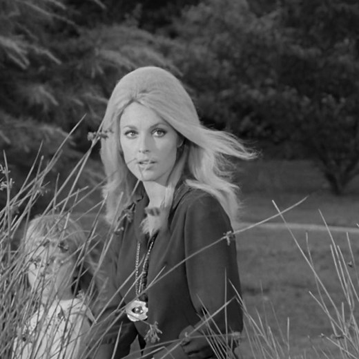 sharon tate ୨୧ on TikTok