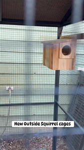 The ducks are temporarily in the squirrel cage Any help with 5 squirrel boxes would be greatly appreciated! Amazon https://a.co/7yZdXbW | Little Bit Wildlife Rescue