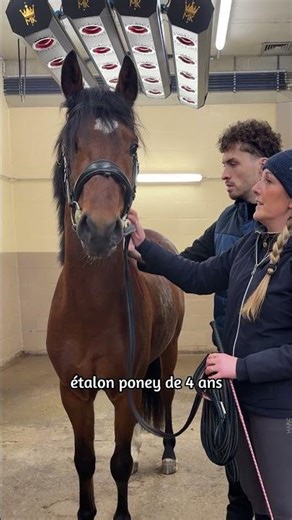 First step of our big project