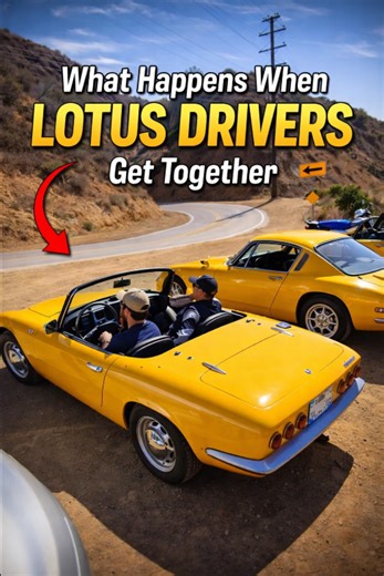 What happens when Lotus drivers get together