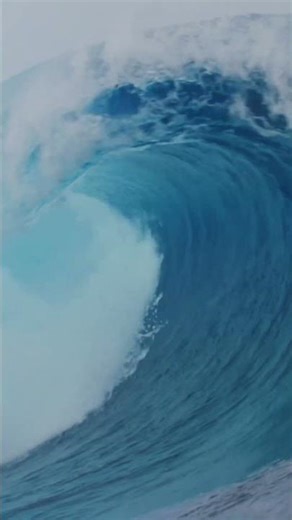 Nature Sounds for Deep Sleep (4 Hours, 4K)