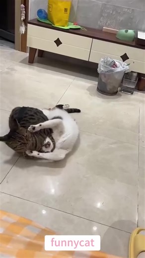 michelle.hardy on TikTok