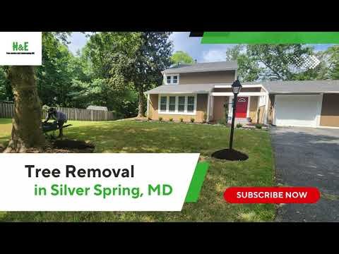 Tree Removal in Silver Spring, MD | H&E tree service & landscaping