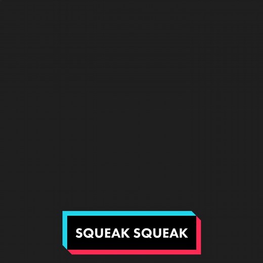 Why Is My Guinea Pig Squeaking? Understanding Their Noises