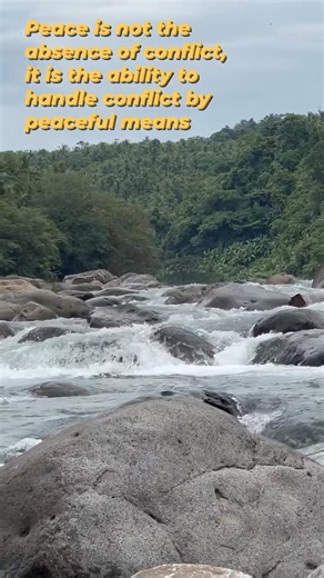 Peace is not the absence of conflict, it is the ability to handle conflict by peaceful means - Ronald Reagan #fypシ゚ #reelsfypシ #followersreels #hilights #reelsviralシfb @highlight | Mon Revz