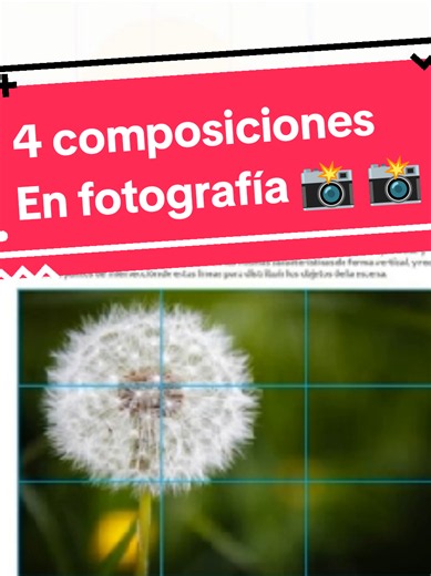 #4tiposdecomposicion #fotografiayluces #terciosinteres #lineasequilibrio cuatro tipos de composición en fotografía regla de tercios centro de interés o protagonismo líneas y simetría o equilibrio. LUIS MEDINA DISEÑO Col21Angeles Notebooklm Video
