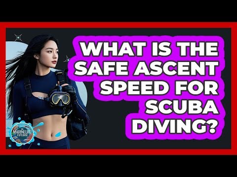 What Is The Safe Ascent Speed For Scuba Diving?