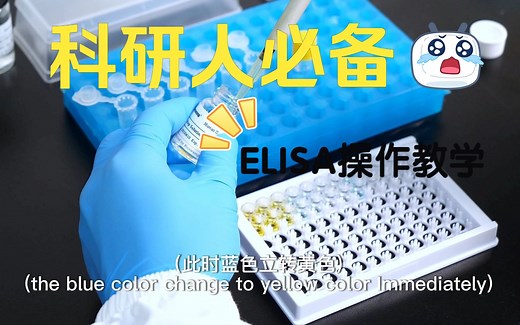 ELISA实验全程操作教学！一次学会，练就实验王者(^o^)／