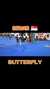 575 reactions · 32 shares | Butterfly Kick | 旋子 Details are very important! Here a student from @wenwulearningstudio Singapore  ​ ​​⏩ INFO POINT ℹ️ : www.internationalwushuacademy.com info@internationalwushuacademy.com #WUSHU #KUNGFU #AERIAL | 龙 “Long Hui” International Wushu Academy 汇 | Facebook