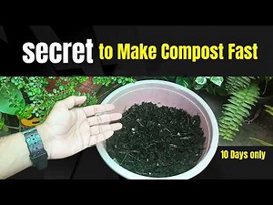 The secret method to make compost fast just in 10 days