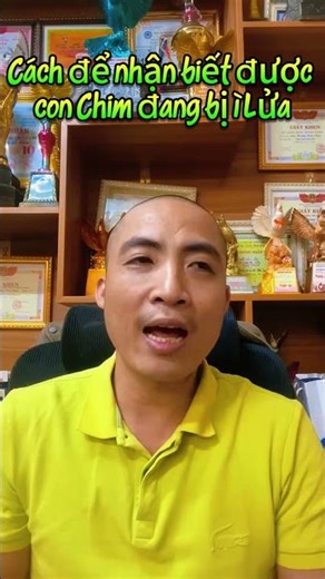 Cách để nhận biết Chim bị ì Lửa