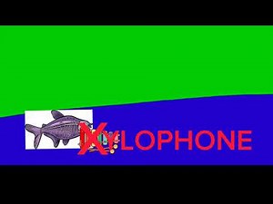 Learn the ABCs X is for Xylophone