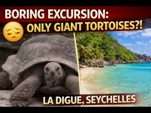 Paid La Digue Excursion FAIL | Giant Tortoises vs Seychelles Beaches