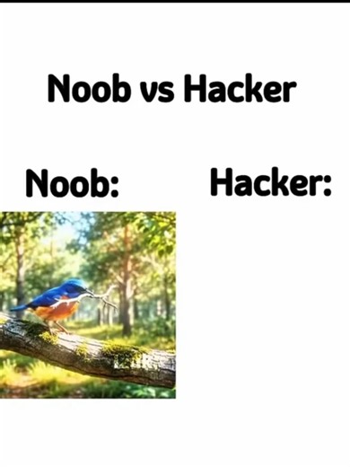 Noob vs Hacker: Epic Hacker vs Noob Battle