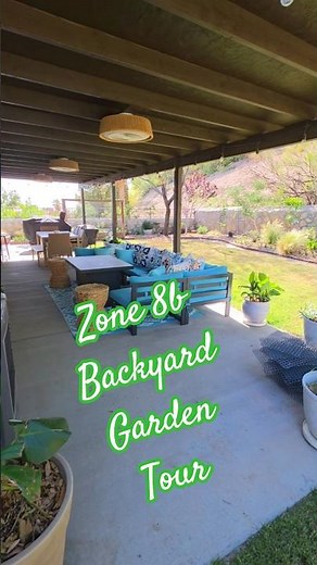 Zone 8b garden. Drought tolerant & heat loving plants!#zone8b #texasgardening #elpaso #desertlife
