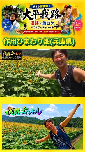 【60秒観光】今年の夏絶対行くべき！絶景ひまわり迷路と泳ぐサル🌻