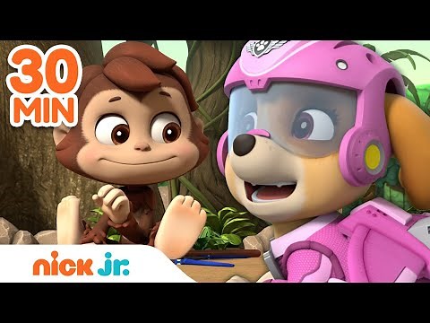 PAW Patrol Earth Day Rescues! w/ Skye, Tracker & Mighty Pups | 30 Minute Compilation | Nick Jr.
