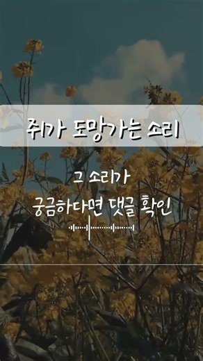 쥐, 안 잡습니다 그냥 ‘이사’ 갑니다 (충격 원리)