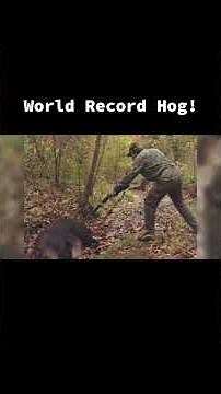 Roger Raglin's World Record Hog!