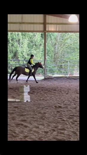 Daisy was so good for our Christmas Eve hack!