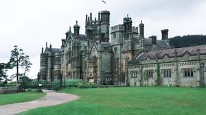 20 reactions | Paranormal | Ghost Investigations | Facebook