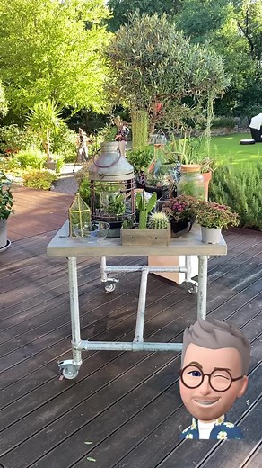 ZDF Fernsehgarten Heute gegen 13.00 mit dem PFLANZENARZT | Pflanzenarzt