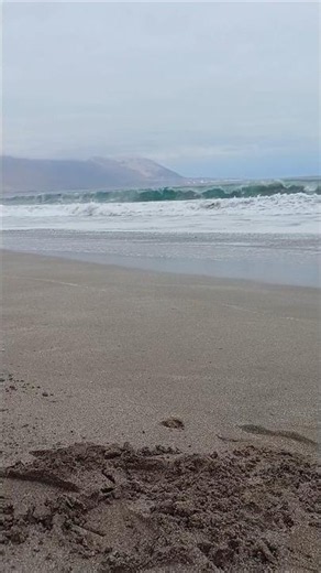 Nature’s Power – Pacific Waves 🌊