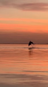 4 comments | The ultimate Spring Break adventure is waiting for you!...