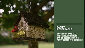 Edible Birdhouse - Birdseed Bird Feeder, Wooden Birds Houses Covered in Wild Bird Food, Squirrel Resistant Birds Feeders for Outside Hanging, Watching Gift for Garden Lovers, (SD)