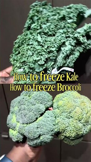 How to FREEZE Vegetables to stay fresh #freezermealprep #vegetarianrecipes