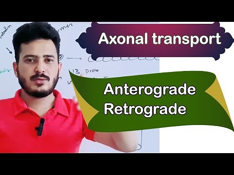 axonal transport|anterograde transport| retrograde transport