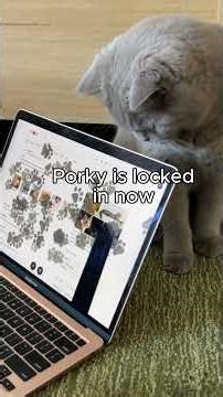 Google has a hidden cat feature??