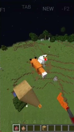 Minecraft Fox funny video ,#shortsfeed #minecraft #funny