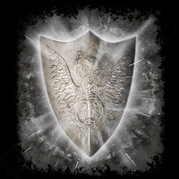 Ash of War: Barricade Shield | Elden Ring Wiki